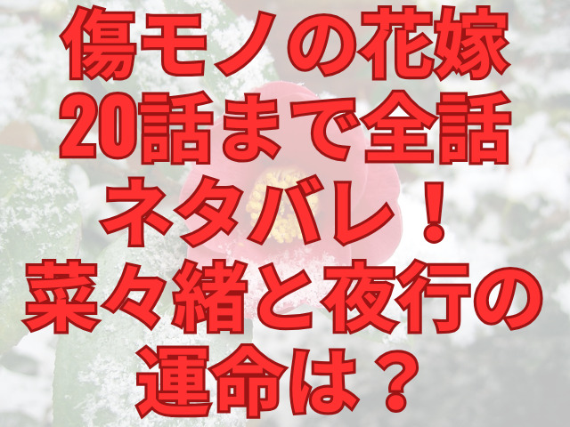 傷モノの花嫁20話まで全話ネタバレ！菜々緒と夜行の運命は？